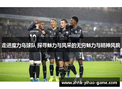 走进魔力鸟球队 探寻魅力与风采的无穷魅力与精神风貌